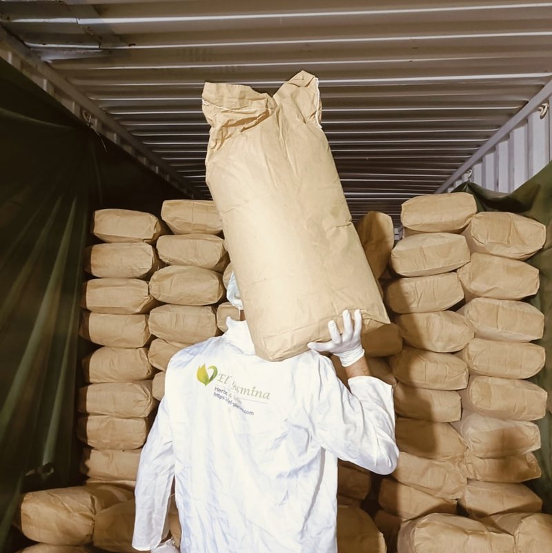 El Yasmina worker loading sacks into an export container
