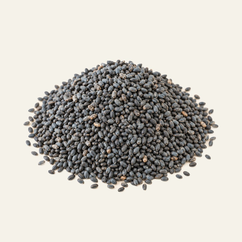 Dried basil seeds, Ocimum basilicum