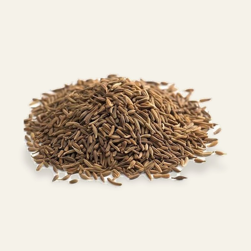 Dried caraway seeds, Carum carvi
