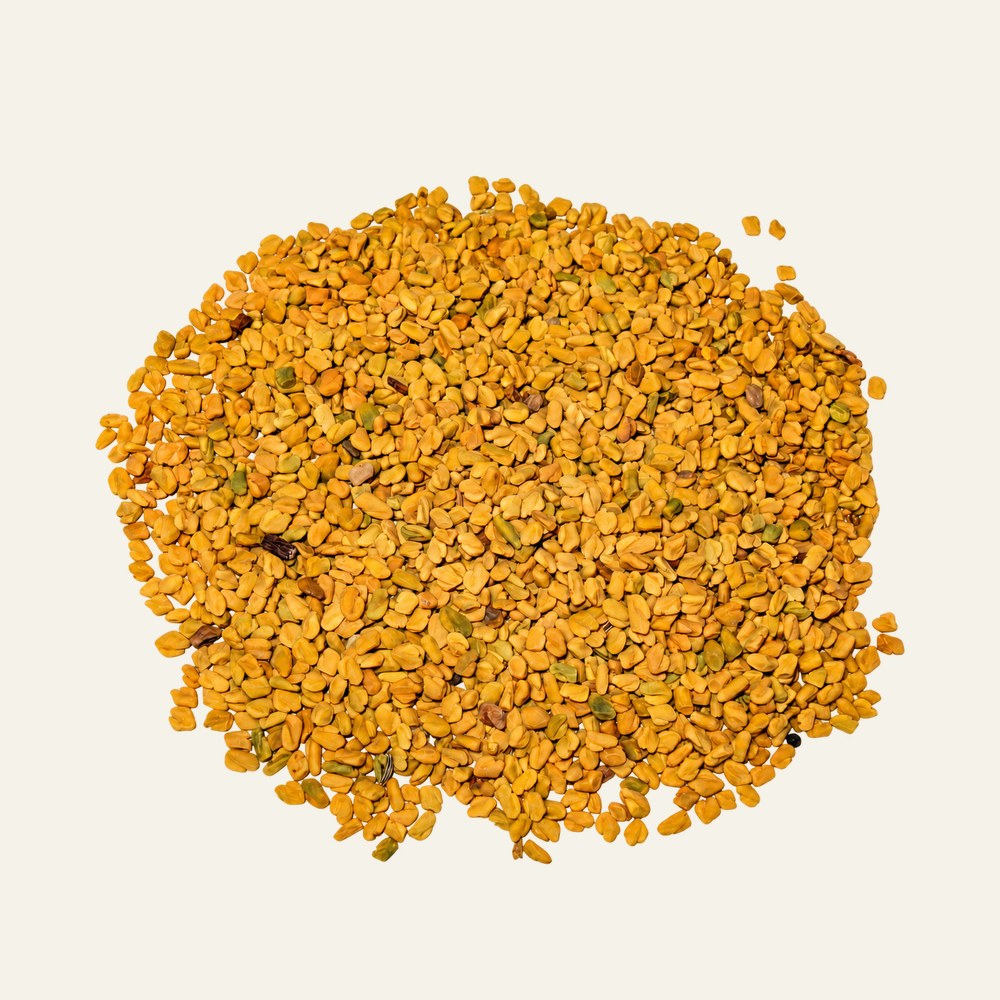 Dried fenugreek, Trigonella foenum-graecum