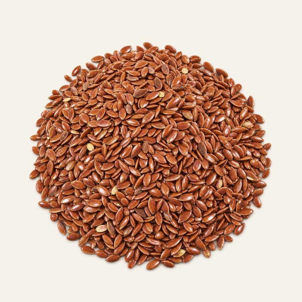 Dried linseed (flax), Linum usitatissimum