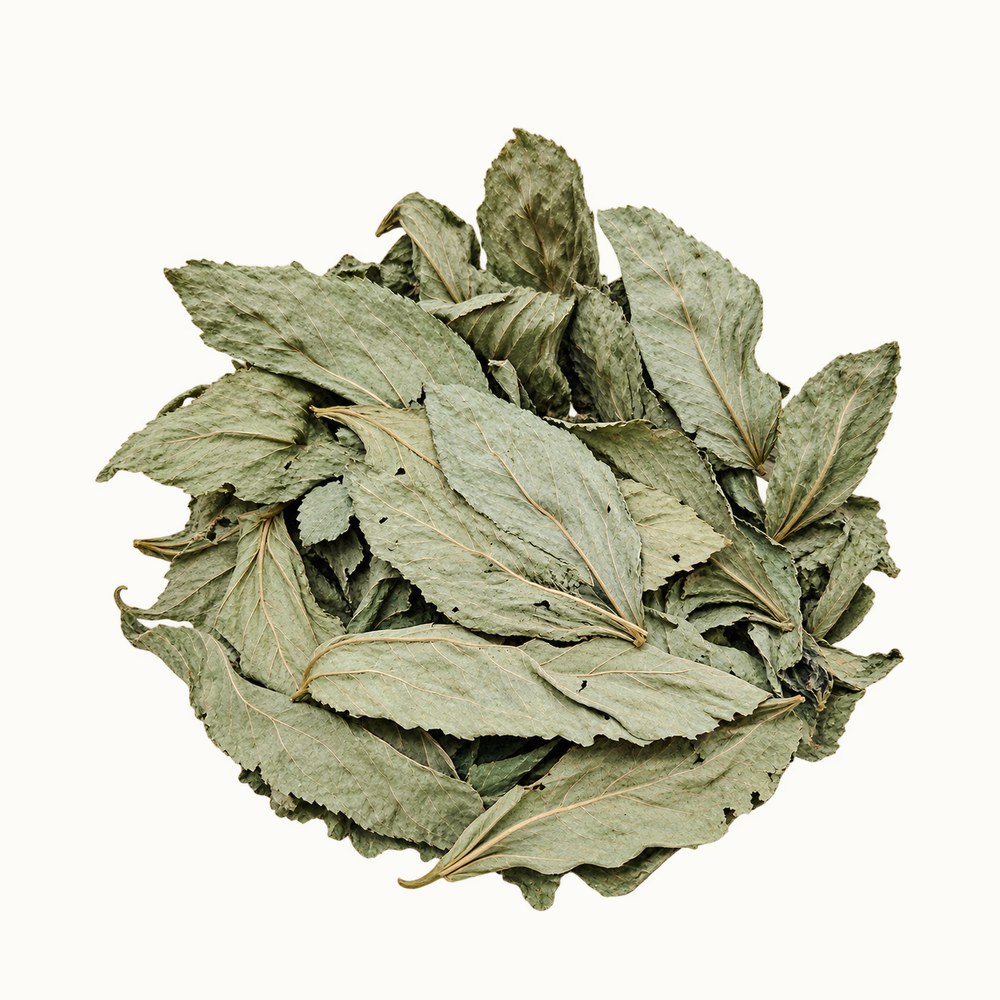 Dried mulukhiyah, Corchorus olitorius