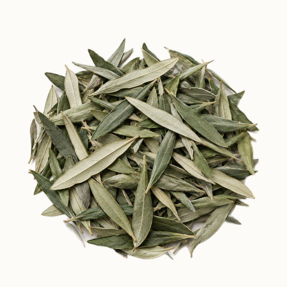 Dried Olive Leaves (Olea europaea)