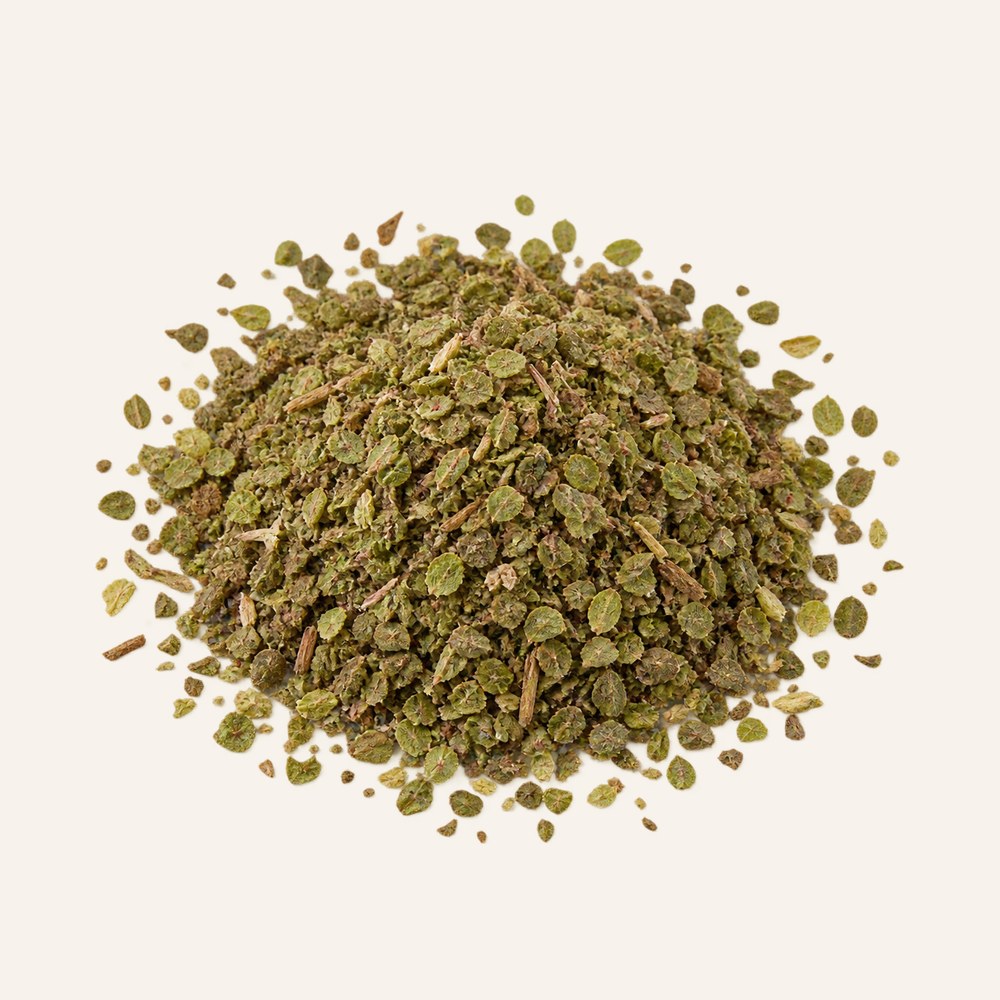 Dried oregano, Origanum vulgare