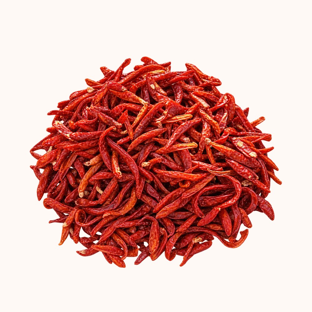 Dried red chilli, Capsicum annuum