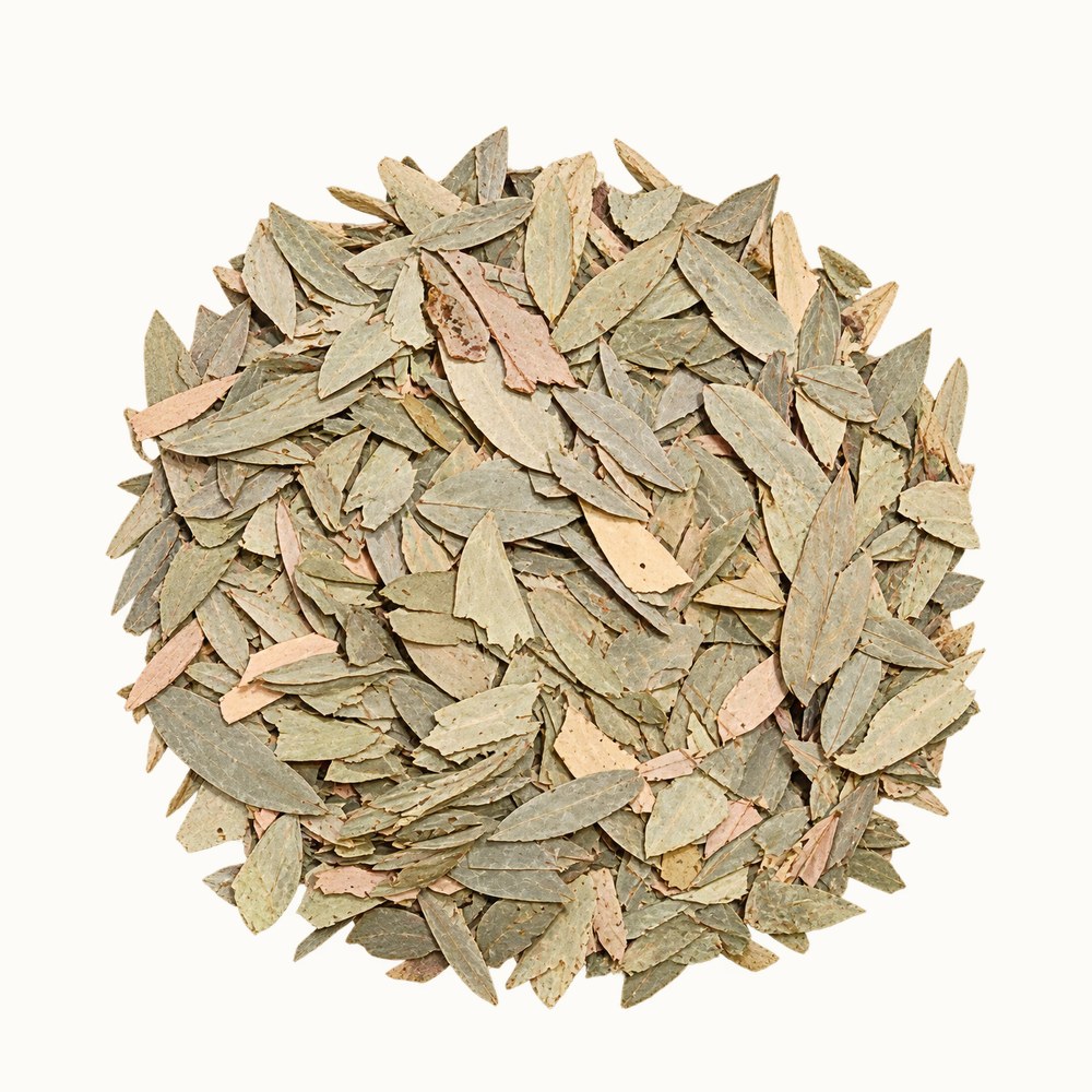 Dried senna, Senna alexandrina
