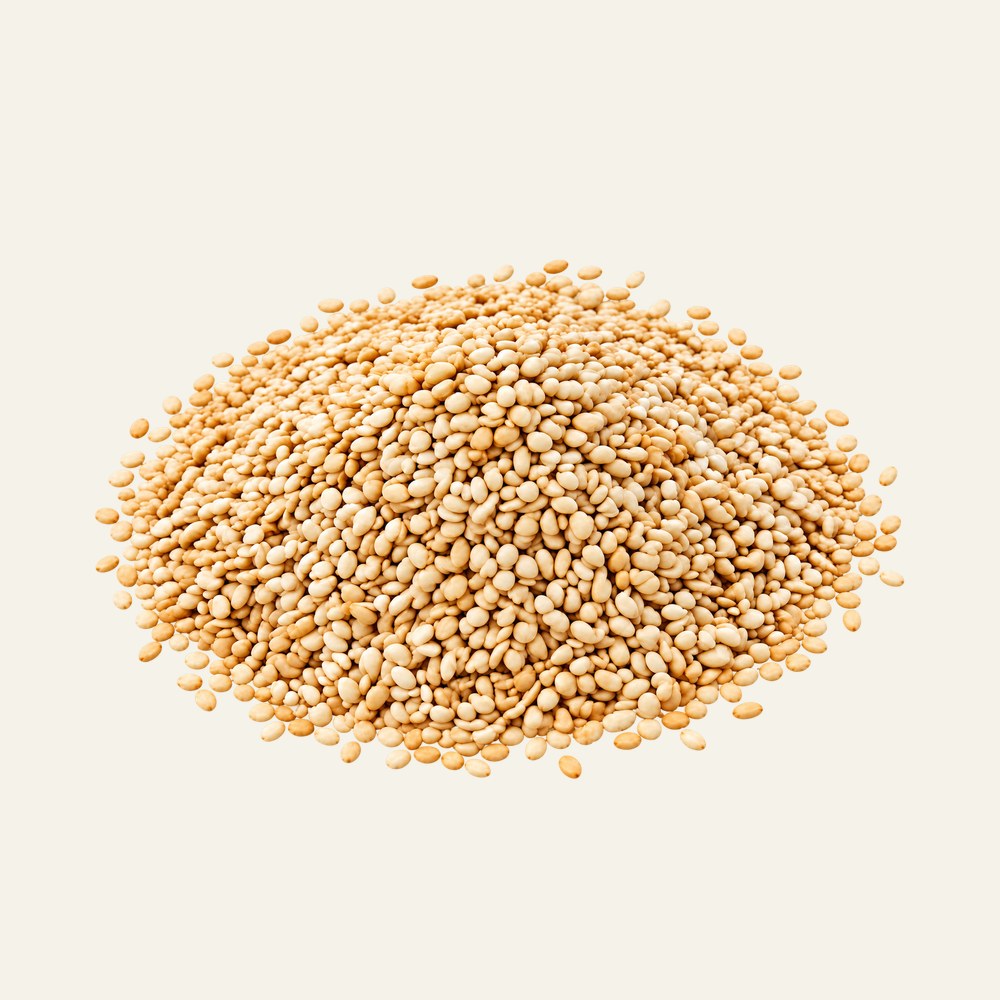 Dried sesame seeds, Sesamum indicum