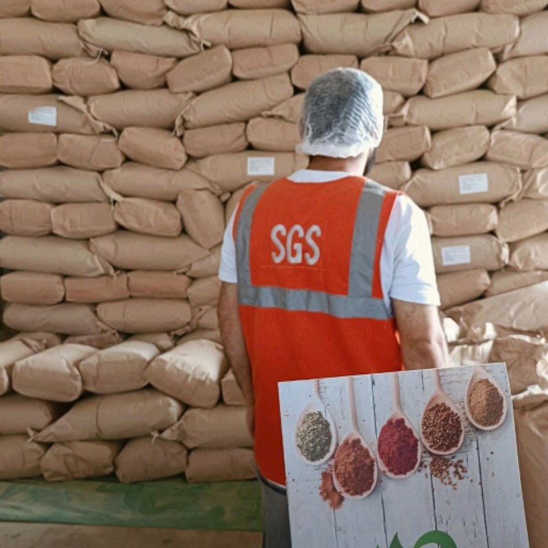 SGS inspector in front of stacked sacks during a pre-shipment inspection at El Yasmina